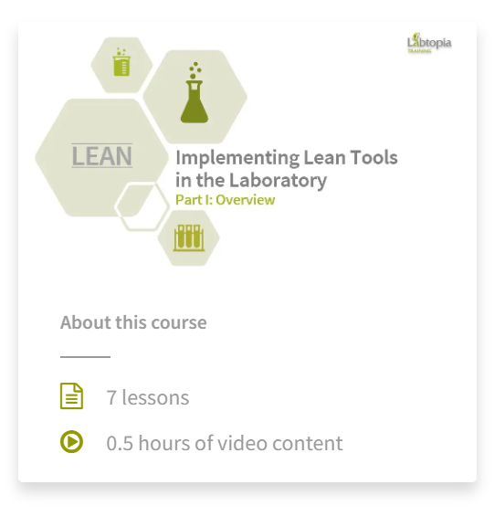 Implementing Lean Tools Training