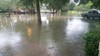   Michelle Carpenter shows the flooding in her neighborhood from Hurricane Harvey.