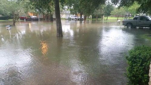   Michelle Carpenter shows the flooding in her neighborhood from Hurricane Harvey.