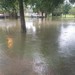   Michelle Carpenter shows the flooding in her neighborhood from Hurricane Harvey.